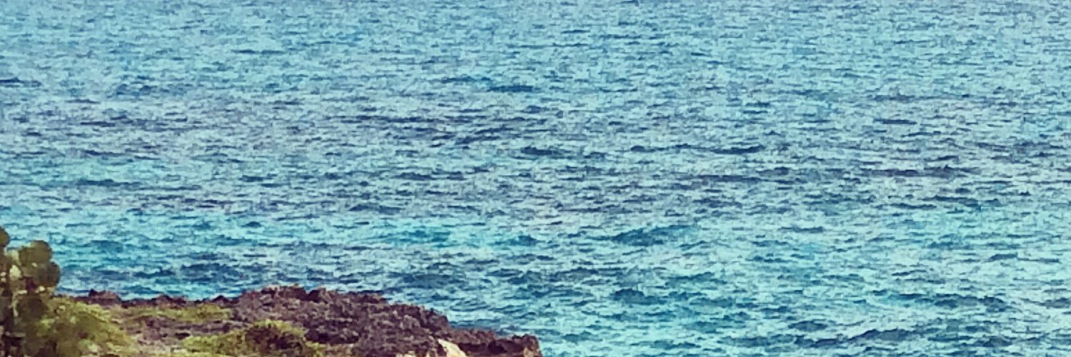 e97390057's profile banner image