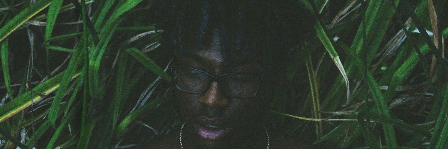 StonedWithStyle's profile banner image