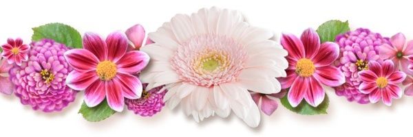 SulphurForLunch's profile banner image