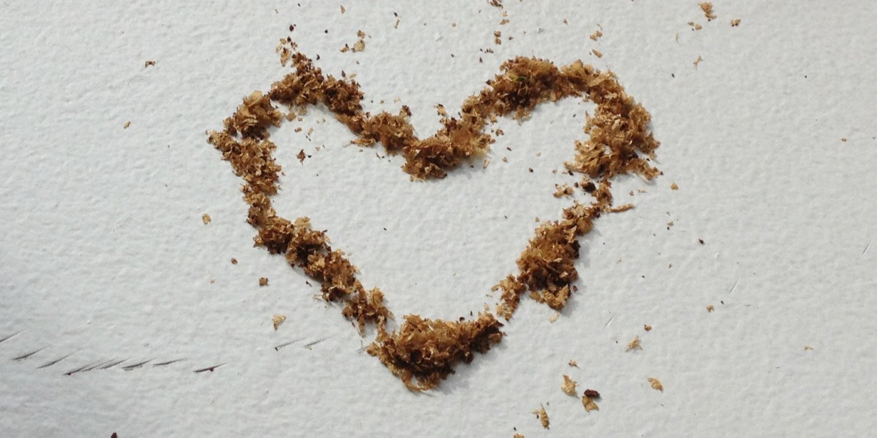 wormholecoffee's profile banner image