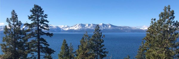 GonzalesLab1 Profile Banner