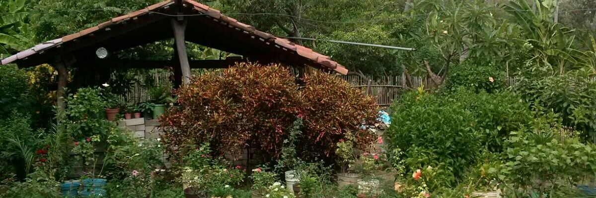 AdyEner's profile banner image