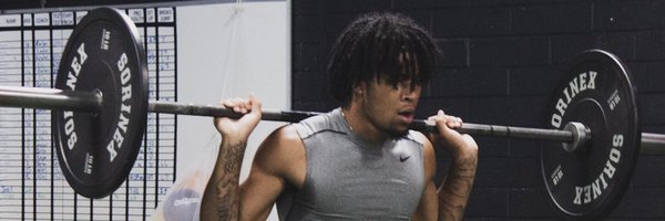 zwil333 Profile Banner