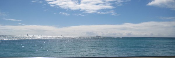 dancingfish Profile Banner