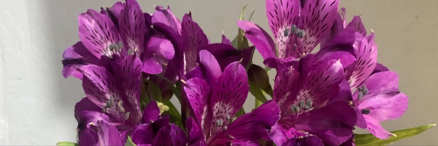 caa_ssii's profile banner image