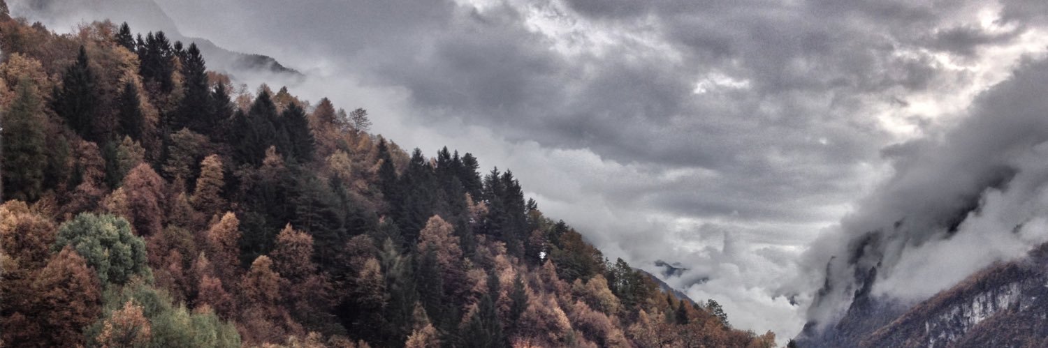 PQuaroni's profile banner image