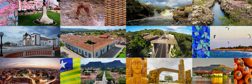 Marcelo Castro banner