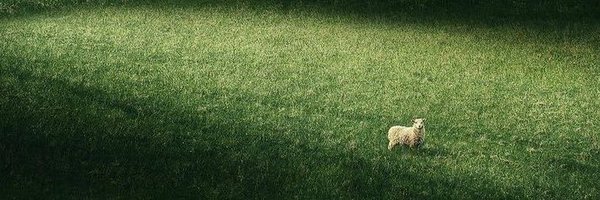 MICHAELF0UR Profile Banner