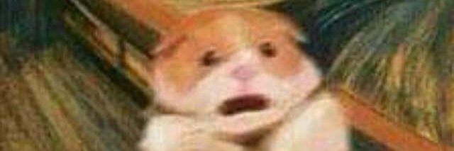 maaaaaaaaaffff's profile banner image