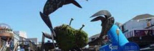 Wharf Profile Banner