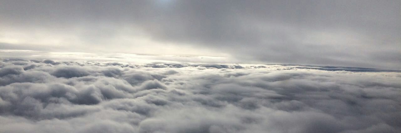 sarithanaranjo's profile banner image