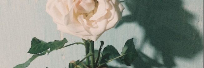 hniesa__'s profile banner image