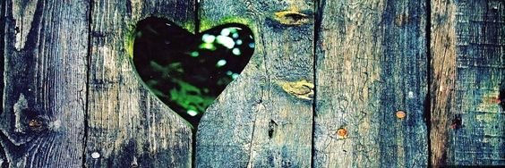 lilyangutierrez's profile banner image