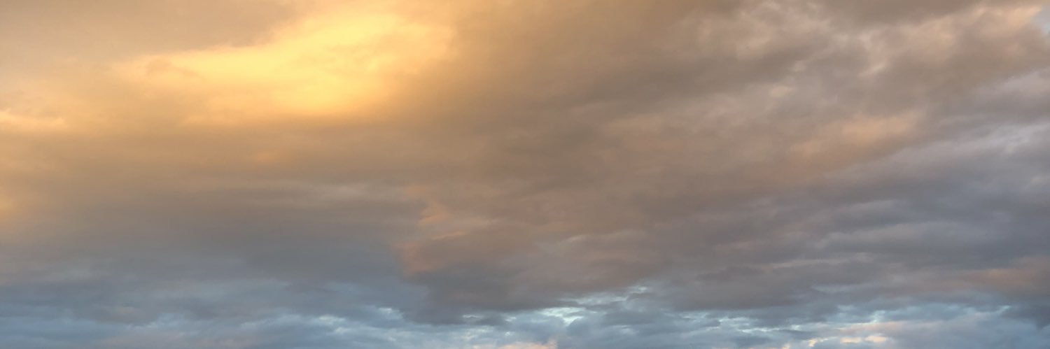 DizzahGee's profile banner image