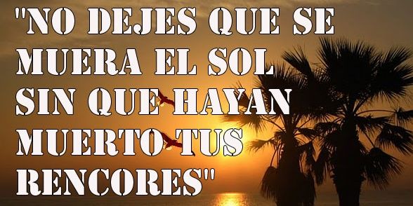 Rolon maria banner
