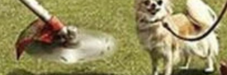 Izzy_ADHD's profile banner image