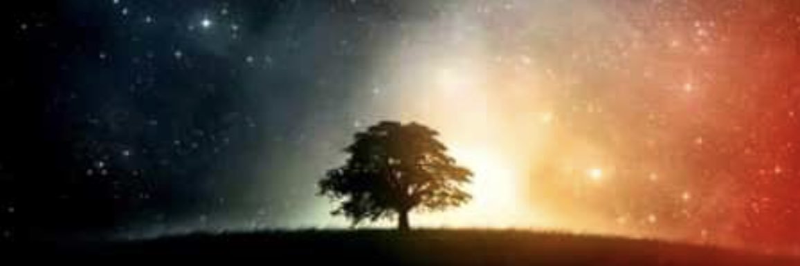 Chase_Adams15's profile banner image