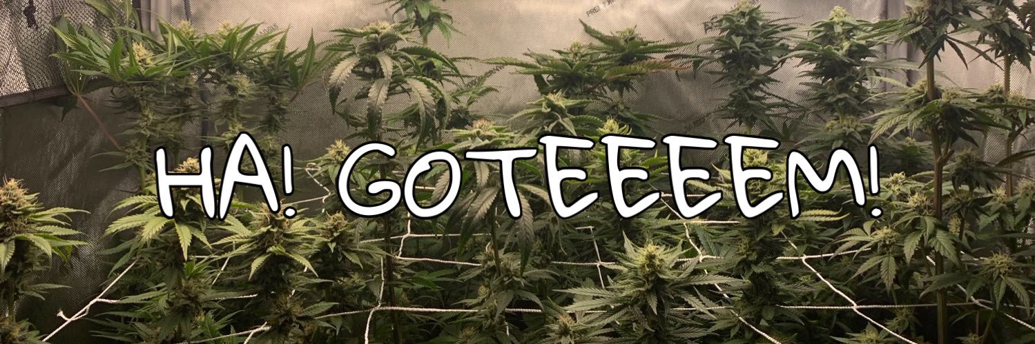 HA! Deez Plants banner
