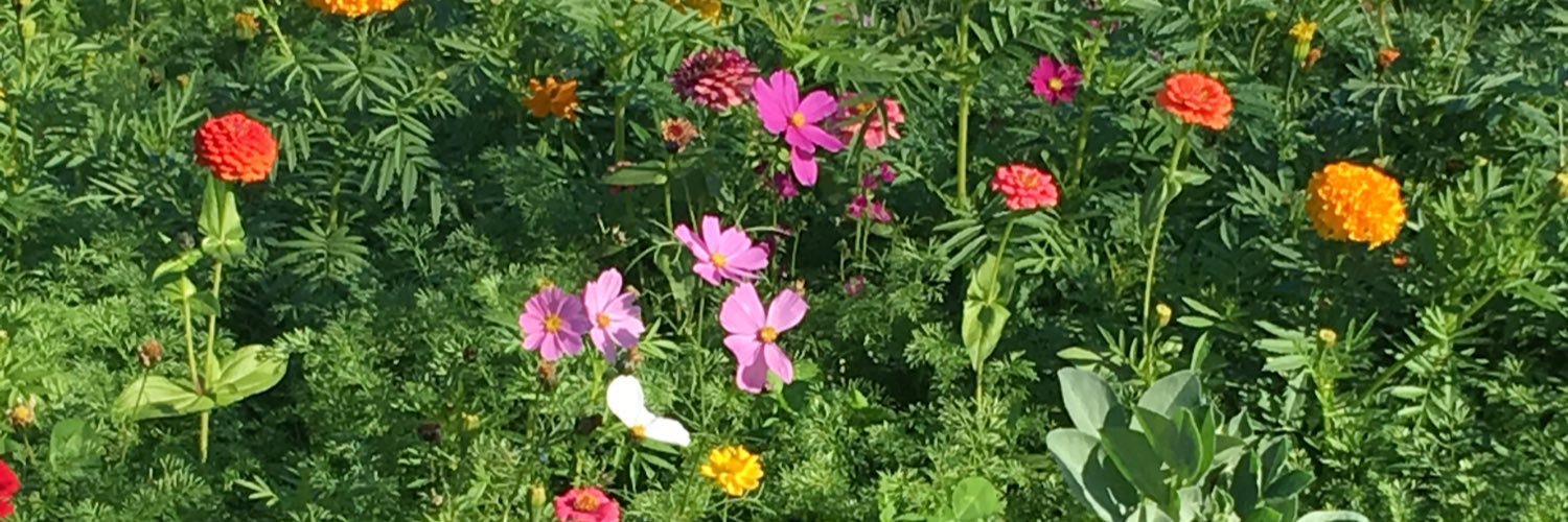 jendines's profile banner image