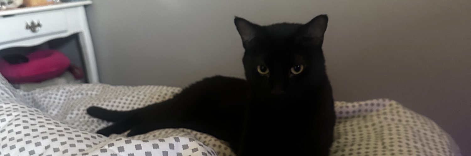 bvggedCC's profile banner image