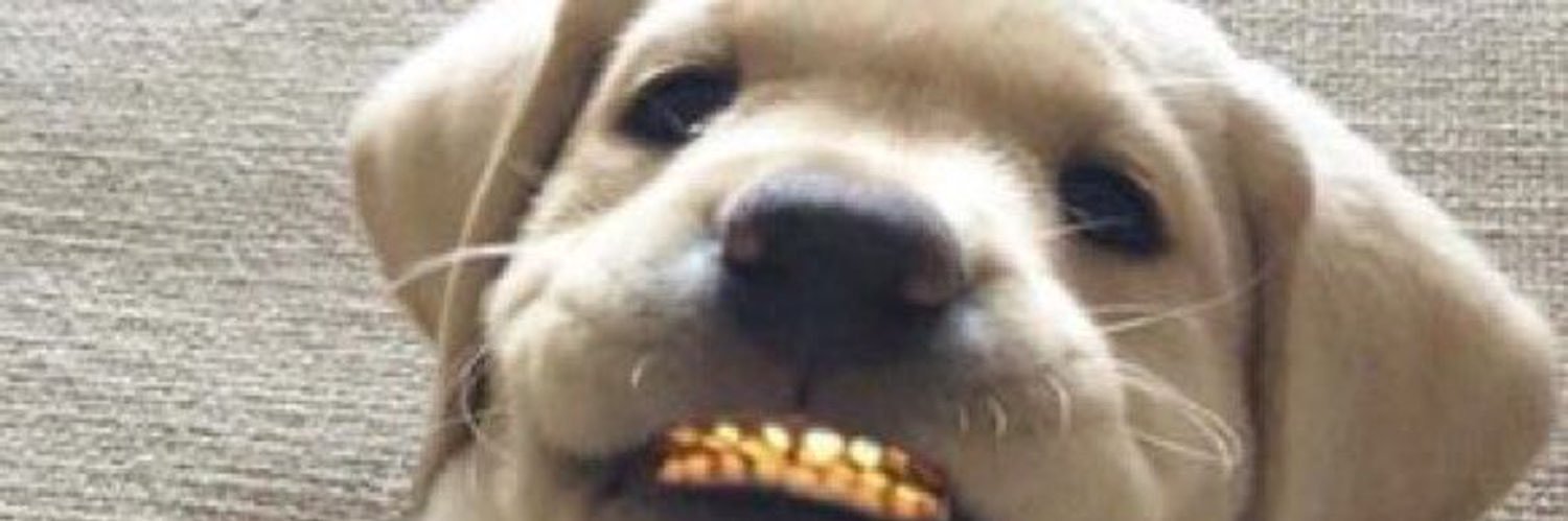 kingnick1023's profile banner image