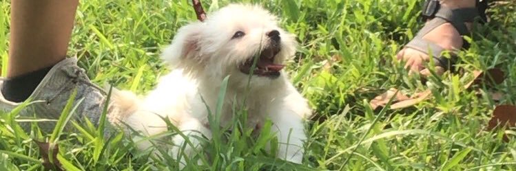 layathecoconut's profile banner image