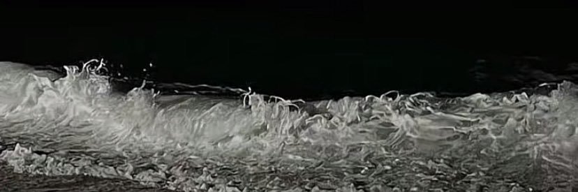 taassnneeeeem banner