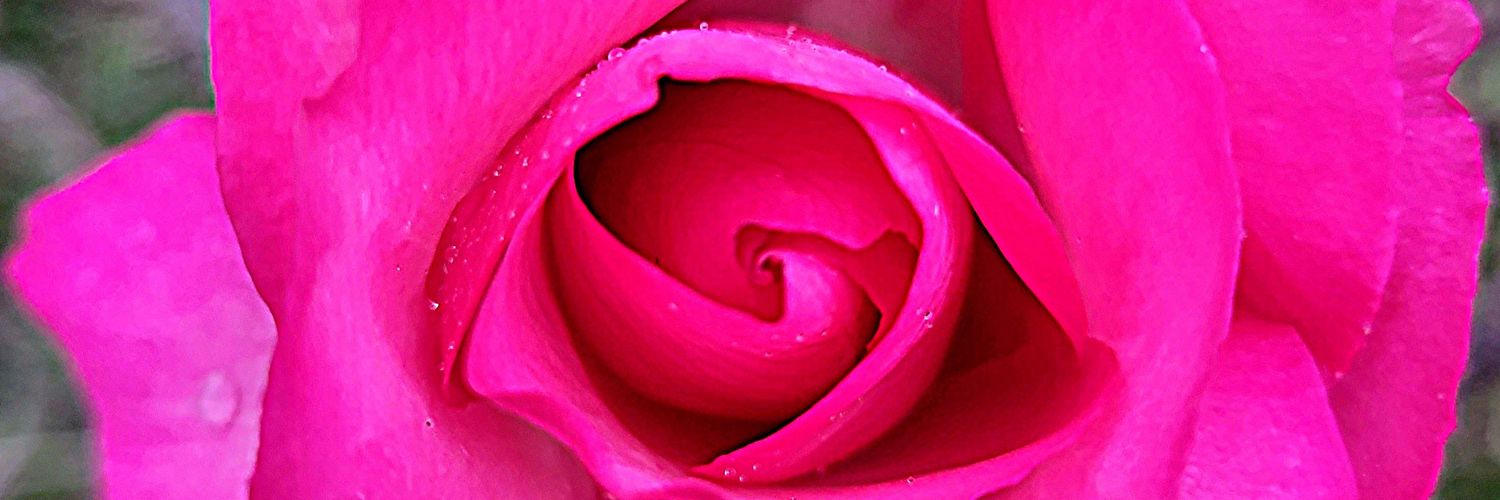 Carolinebeth74's profile banner image