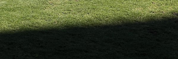 vamptact Profile Banner