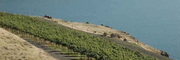 EricDegerman Profile Banner