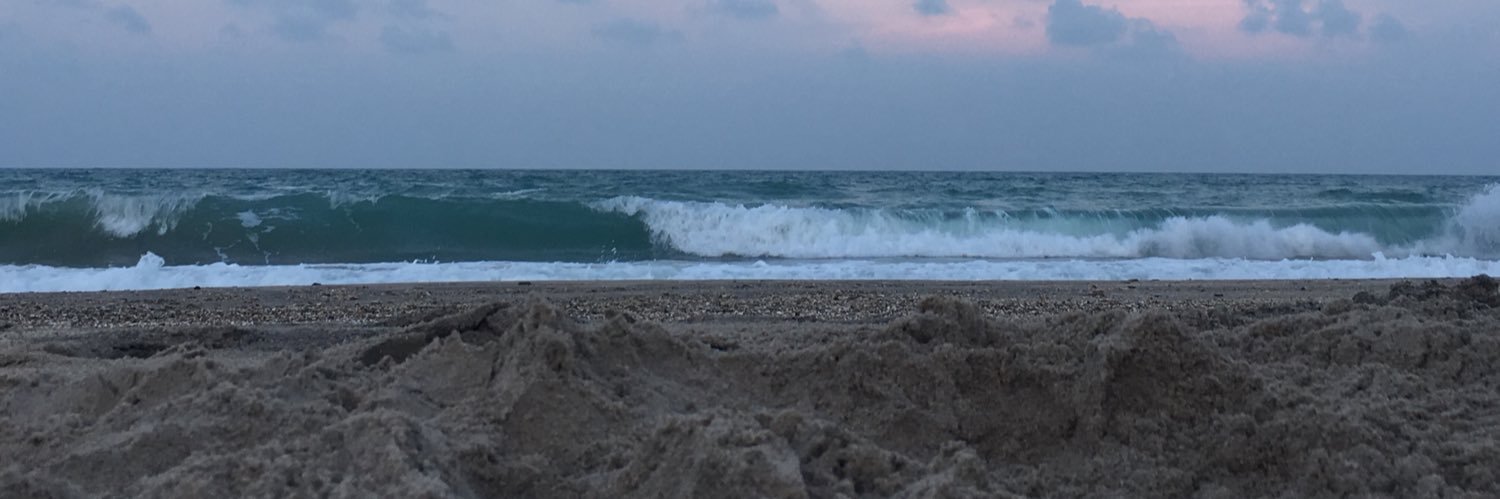 danielasolis96's profile banner image