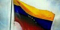 beaglefalbala's profile banner image