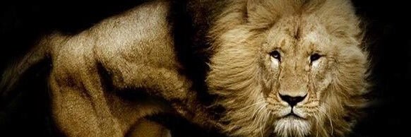 SarbjotM's profile banner image
