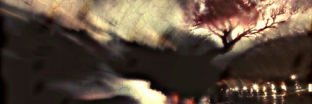 Lukedague's profile banner image