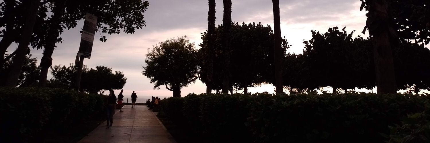 tr_demali's profile banner image