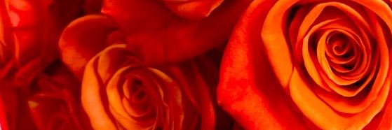 UrCenterFold's profile banner image