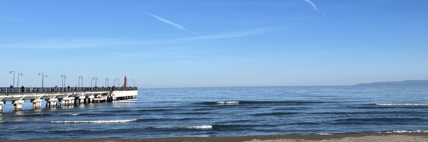 Şule banner