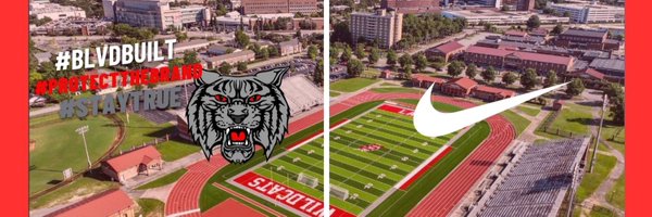 LaneyWildcat Profile Banner