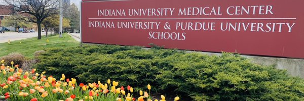 WTingWT Profile Banner