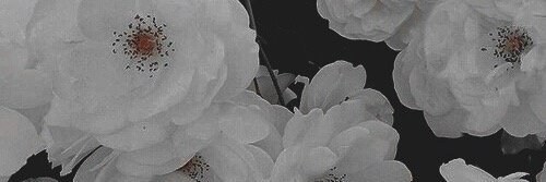 _人間失联_'s banner