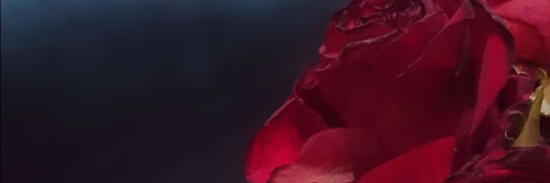 ميرو banner