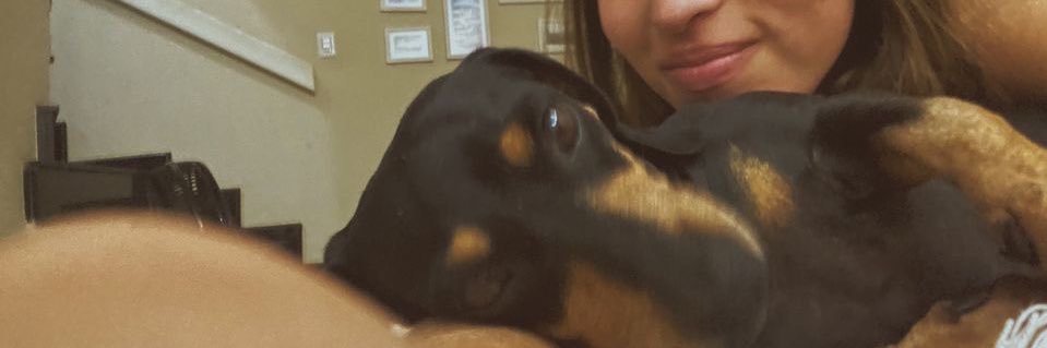 raisassrd's profile banner image