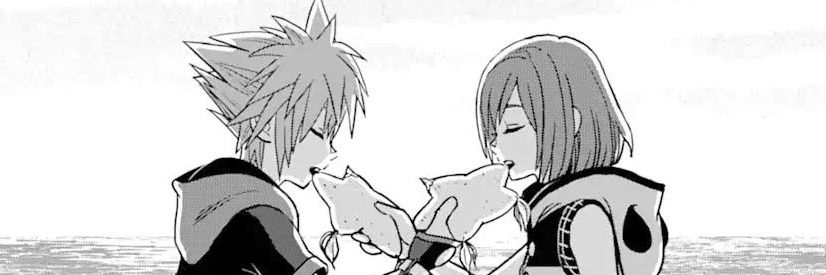 Sora banner