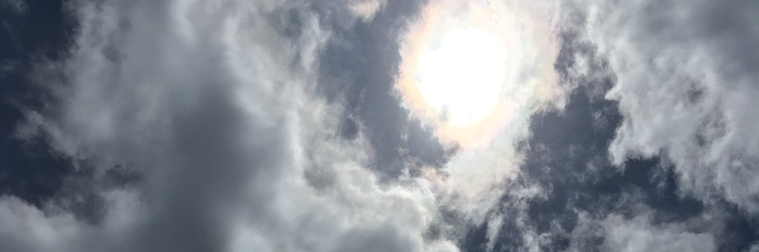 iwtdlst's profile banner image