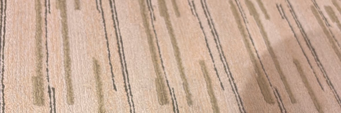 Reggngu's profile banner image