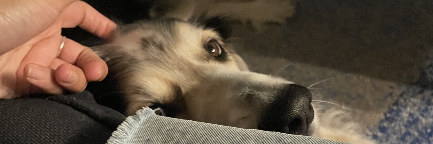 Ariana Eily, PhD banner