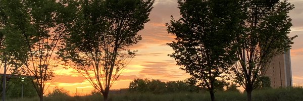 mahoney_kc Profile Banner