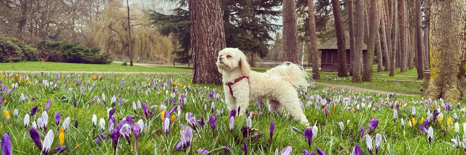 Rheanna Geoghegan banner