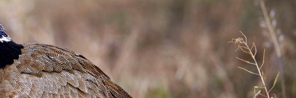 MoveCIBIO Profile Banner
