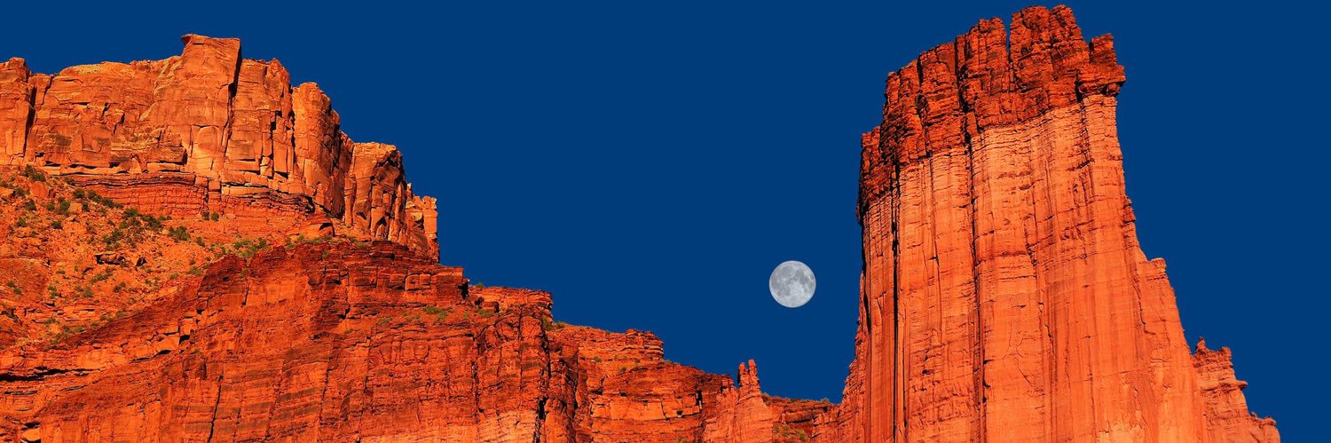 BTarridge's profile banner image